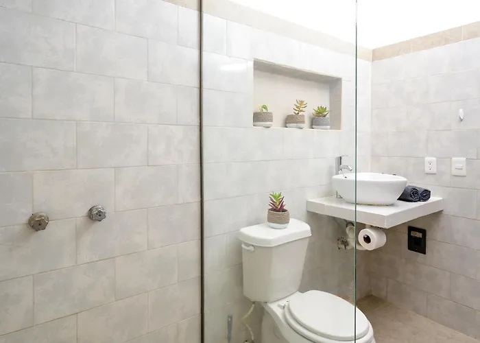 Cozumel Center Entire 2br 2 Bath Scuba Diving Mecca With Pool Ac Ac Wi-fi Kitchen Parking * San Miguel de Cozumel