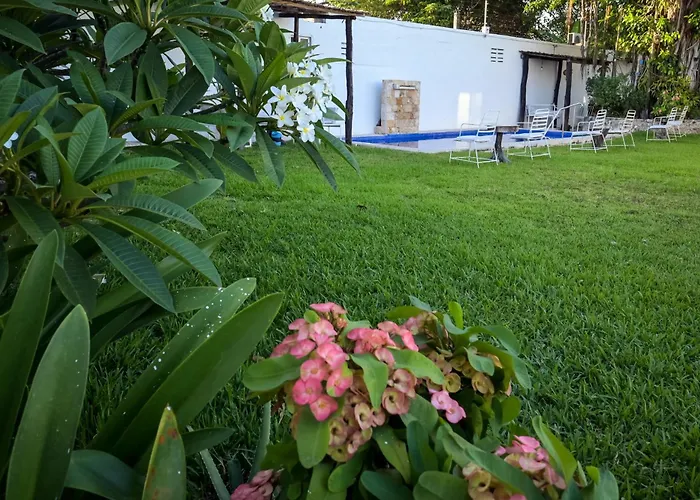 Cozumel Center Entire 2br 2 Bath Scuba Diving Mecca With Pool Ac Ac Wi-fi Kitchen Parking Apartment
