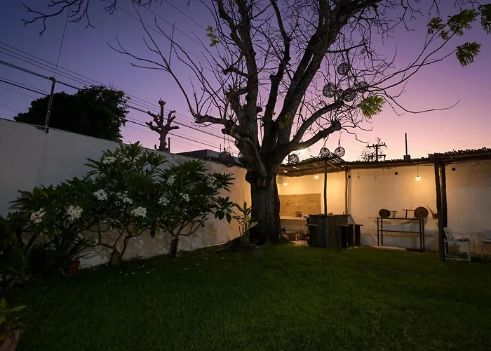 Apartment Cozumel Center Entire 2br 2 Bath Scuba Diving Mecca With Pool Ac Ac Wi-fi Kitchen Parking *
